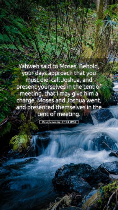 Picture 05 - Deuteronomy 31:14 WEB Mobile Phone Wallpaper - Yahweh said to Moses, Behold, your days approach - Mobile Bible Verse Wallpaper