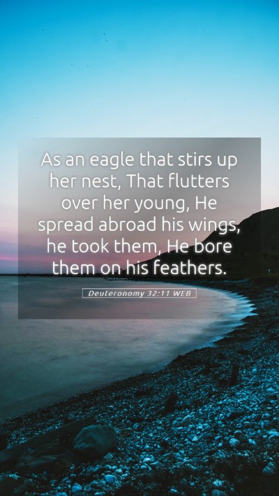 Picture 05 - Deuteronomy 32:11 WEB Mobile Phone Wallpaper - As an eagle that stirs up her nest, That flutters - Mobile Bible Verse Wallpaper