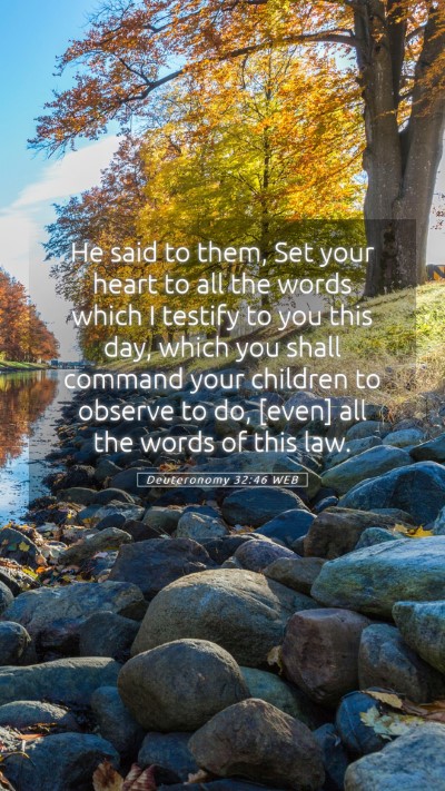 Picture 05 - Deuteronomy 32:46 WEB Mobile Phone Wallpaper - He said to them, Set your heart to all the words - Mobile Bible Verse Wallpaper