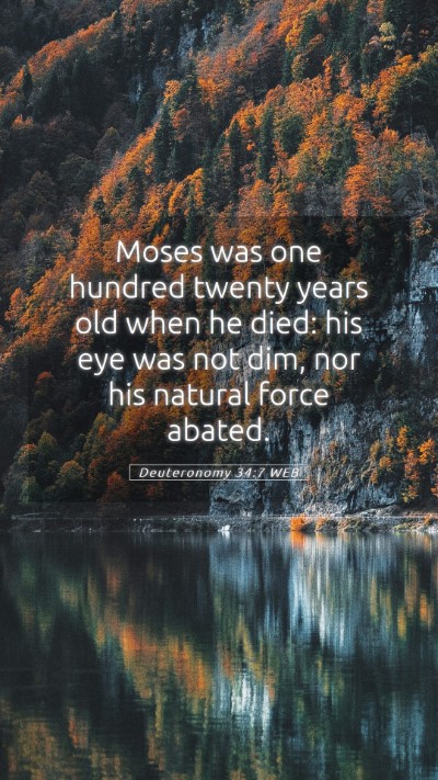 Picture 05 - Deuteronomy 34:7 WEB Mobile Phone Wallpaper - Moses was one hundred twenty years old when he - Mobile Bible Verse Wallpaper