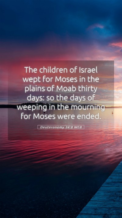 Picture 05 - Deuteronomy 34:8 WEB Mobile Phone Wallpaper - The children of Israel wept for Moses in the - Mobile Bible Verse Wallpaper