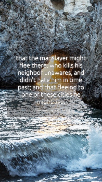 Picture 05 - Deuteronomy 4:42 WEB Mobile Phone Wallpaper - that the manslayer might flee there, who kills - Mobile Bible Verse Wallpaper