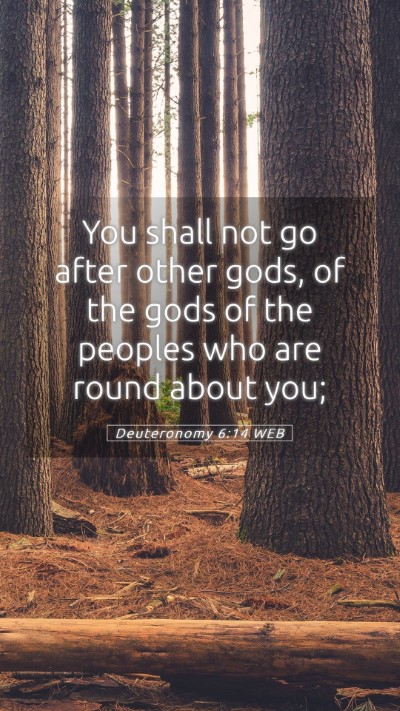 Picture 05 - Deuteronomy 6:14 WEB Mobile Phone Wallpaper - You shall not go after other gods, of the gods of - Mobile Bible Verse Wallpaper