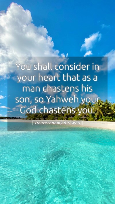 Picture 05 - Deuteronomy 8:5 WEB Mobile Phone Wallpaper - You shall consider in your heart that as a man - Mobile Bible Verse Wallpaper