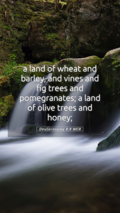 Picture 05 - Deuteronomy 8:8 WEB Mobile Phone Wallpaper - a land of wheat and barley, and vines and fig - Mobile Bible Verse Wallpaper