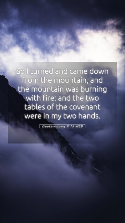 Picture 05 - Deuteronomy 9:15 WEB Mobile Phone Wallpaper - So I turned and came down from the mountain, and - Mobile Bible Verse Wallpaper