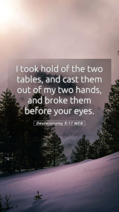 Picture 05 - Deuteronomy 9:17 WEB Mobile Phone Wallpaper - I took hold of the two tables, and cast them out - Mobile Bible Verse Wallpaper