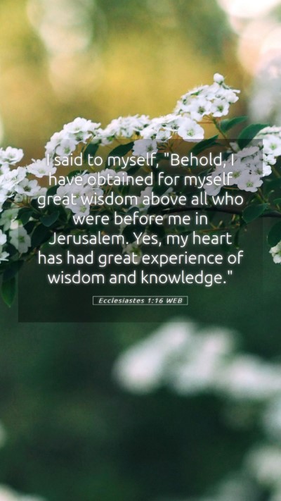 Picture 05 - Ecclesiastes 1:16 WEB Mobile Phone Wallpaper - I said to myself, 