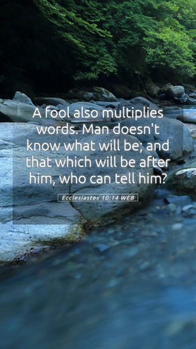 Picture 05 - Ecclesiastes 10:14 WEB Mobile Phone Wallpaper - A fool also multiplies words. Man doesn't know - Mobile Bible Verse Wallpaper