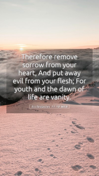 Picture 05 - Ecclesiastes 11:10 WEB Mobile Phone Wallpaper - Therefore remove sorrow from your heart, And put - Mobile Bible Verse Wallpaper