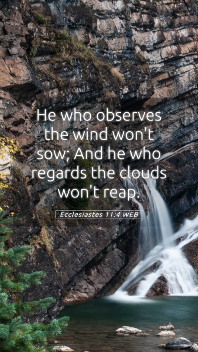 Picture 05 - Ecclesiastes 11:4 WEB Mobile Phone Wallpaper - He who observes the wind won't sow; And he who - Mobile Bible Verse Wallpaper