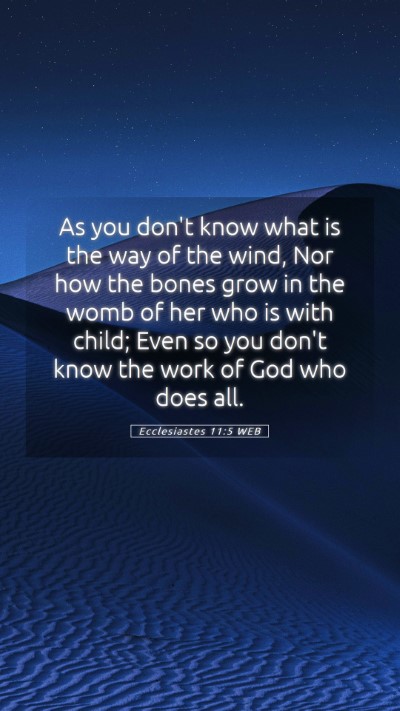 Picture 05 - Ecclesiastes 11:5 WEB Mobile Phone Wallpaper - As you don't know what is the way of the wind, - Mobile Bible Verse Wallpaper