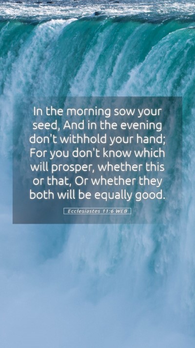 Picture 05 - Ecclesiastes 11:6 WEB Mobile Phone Wallpaper - In the morning sow your seed, And in the evening - Mobile Bible Verse Wallpaper