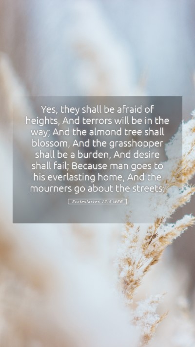 Picture 05 - Ecclesiastes 12:5 WEB Mobile Phone Wallpaper - Yes, they shall be afraid of heights, And terrors - Mobile Bible Verse Wallpaper