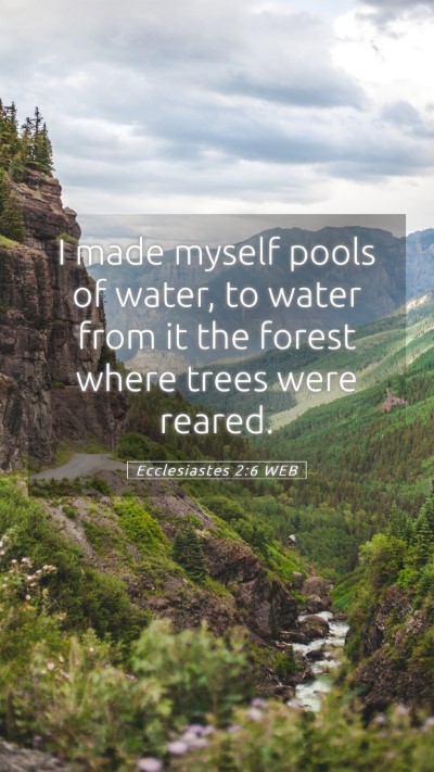Picture 05 - Ecclesiastes 2:6 WEB Mobile Phone Wallpaper - I made myself pools of water, to water from it - Mobile Bible Verse Wallpaper