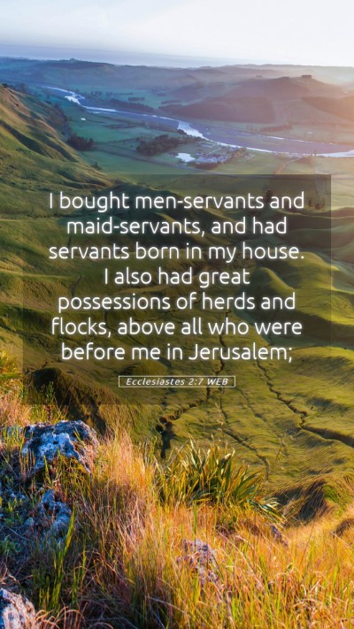 Picture 05 - Ecclesiastes 2:7 WEB Mobile Phone Wallpaper - I bought men-servants and maid-servants, and had - Mobile Bible Verse Wallpaper