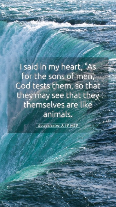 Picture 05 - Ecclesiastes 3:18 WEB Mobile Phone Wallpaper - I said in my heart, 