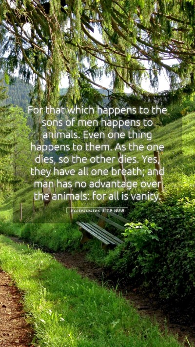 Picture 05 - Ecclesiastes 3:19 WEB Mobile Phone Wallpaper - For that which happens to the sons of men happens - Mobile Bible Verse Wallpaper