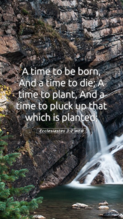 Picture 05 - Ecclesiastes 3:2 WEB Mobile Phone Wallpaper - A time to be born, And a time to die; A time to - Mobile Bible Verse Wallpaper