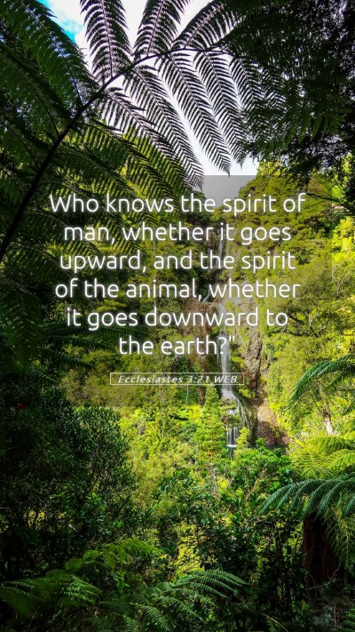 Picture 05 - Ecclesiastes 3:21 WEB Mobile Phone Wallpaper - Who knows the spirit of man, whether it goes - Mobile Bible Verse Wallpaper