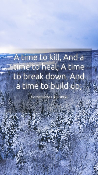 Picture 05 - Ecclesiastes 3:3 WEB Mobile Phone Wallpaper - A time to kill, And a time to heal; A time to - Mobile Bible Verse Wallpaper