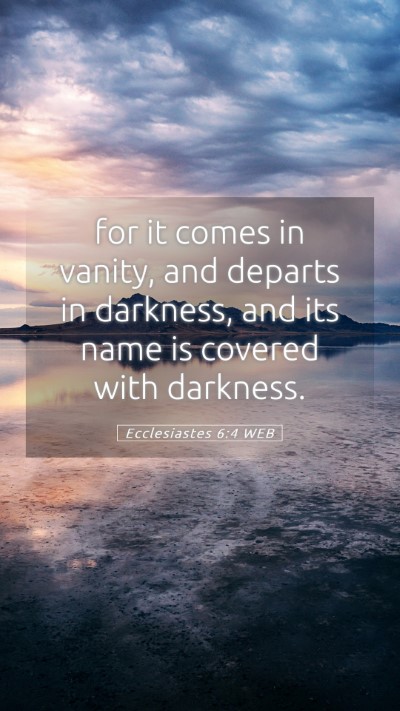 Picture 05 - Ecclesiastes 6:4 WEB Mobile Phone Wallpaper - for it comes in vanity, and departs in darkness, - Mobile Bible Verse Wallpaper