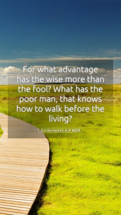 Picture 05 - Ecclesiastes 6:8 WEB Mobile Phone Wallpaper - For what advantage has the wise more than the - Mobile Bible Verse Wallpaper