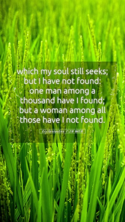 Picture 05 - Ecclesiastes 7:28 WEB Mobile Phone Wallpaper - which my soul still seeks; but I have not found: - Mobile Bible Verse Wallpaper