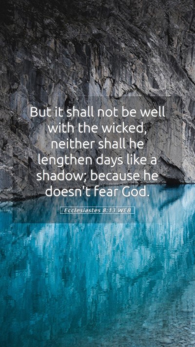 Picture 05 - Ecclesiastes 8:13 WEB Mobile Phone Wallpaper - But it shall not be well with the wicked, neither - Mobile Bible Verse Wallpaper