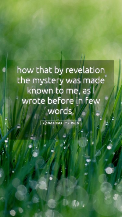 Picture 05 - Ephesians 3:3 WEB Mobile Phone Wallpaper - how that by revelation the mystery was made known - Mobile Bible Verse Wallpaper