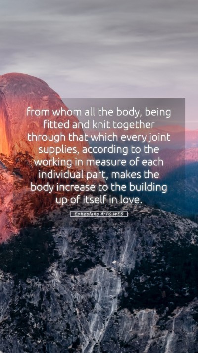 Picture 05 - Ephesians 4:16 WEB Mobile Phone Wallpaper - from whom all the body, being fitted and knit - Mobile Bible Verse Wallpaper
