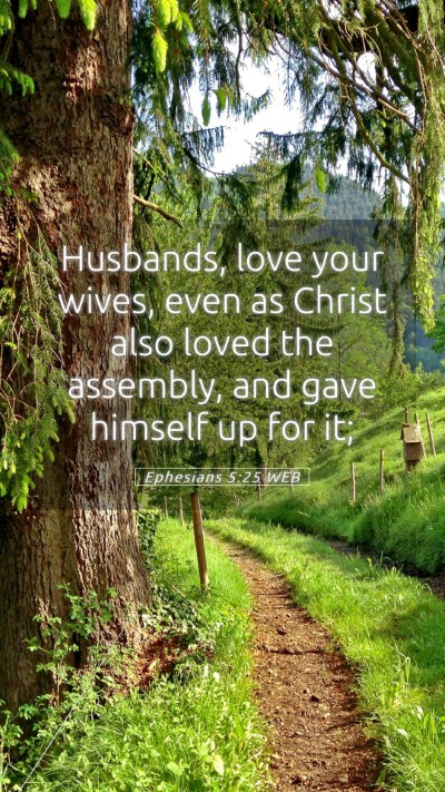Picture 05 - Ephesians 5:25 WEB Mobile Phone Wallpaper - Husbands, love your wives, even as Christ also - Mobile Bible Verse Wallpaper