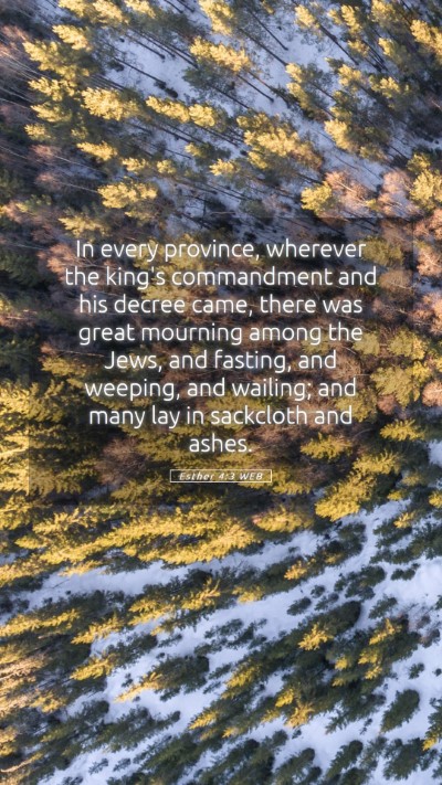 Picture 05 - Esther 4:3 WEB Mobile Phone Wallpaper - In every province, wherever the king's - Mobile Bible Verse Wallpaper