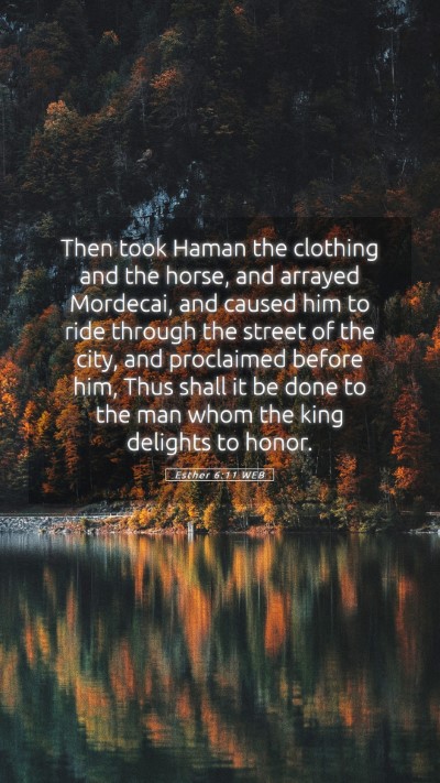 Picture 05 - Esther 6:11 WEB Mobile Phone Wallpaper - Then took Haman the clothing and the horse, and - Mobile Bible Verse Wallpaper