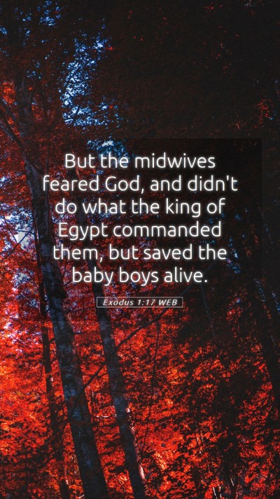 Picture 05 - Exodus 1:17 WEB Mobile Phone Wallpaper - But the midwives feared God, and didn't do what - Mobile Bible Verse Wallpaper