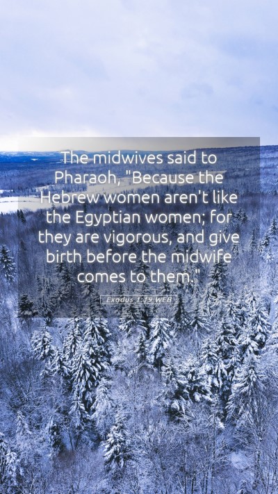 Picture 05 - Exodus 1:19 WEB Mobile Phone Wallpaper - The midwives said to Pharaoh, 