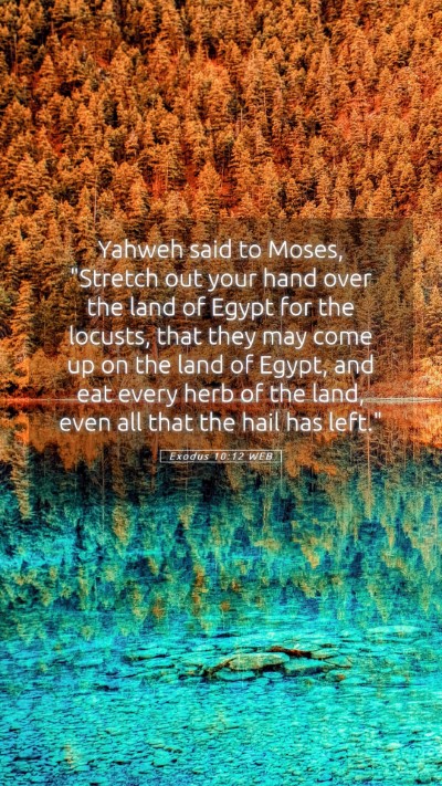 Picture 05 - Exodus 10:12 WEB Mobile Phone Wallpaper - Yahweh said to Moses, 
