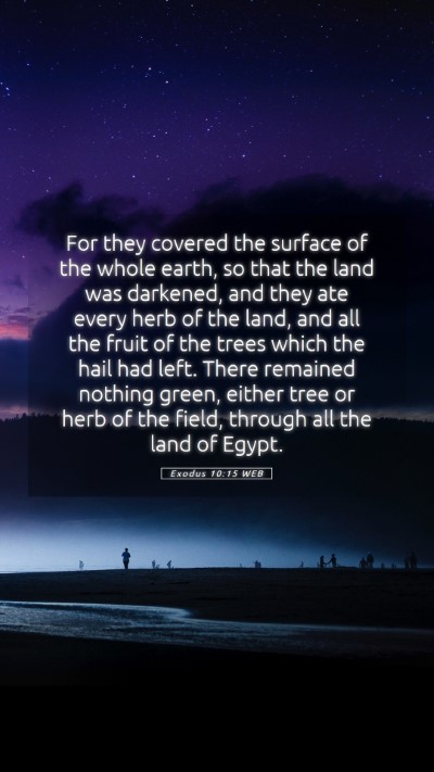 Picture 05 - Exodus 10:15 WEB Mobile Phone Wallpaper - For they covered the surface of the whole earth, - Mobile Bible Verse Wallpaper