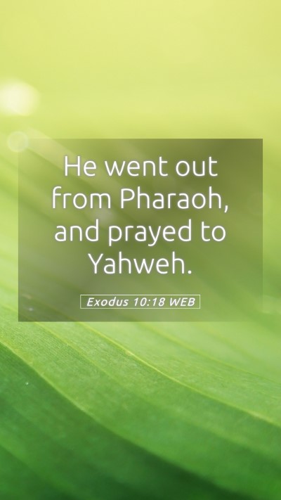 Picture 05 - Exodus 10:18 WEB Mobile Phone Wallpaper - He went out from Pharaoh, and prayed to - Mobile Bible Verse Wallpaper