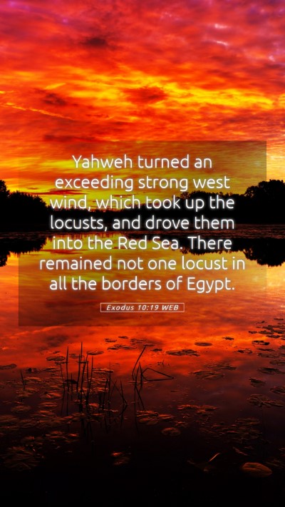Picture 05 - Exodus 10:19 WEB Mobile Phone Wallpaper - Yahweh turned an exceeding strong west wind, - Mobile Bible Verse Wallpaper