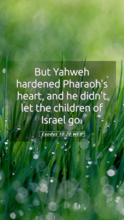 Picture 05 - Exodus 10:20 WEB Mobile Phone Wallpaper - But Yahweh hardened Pharaoh's heart, and he - Mobile Bible Verse Wallpaper