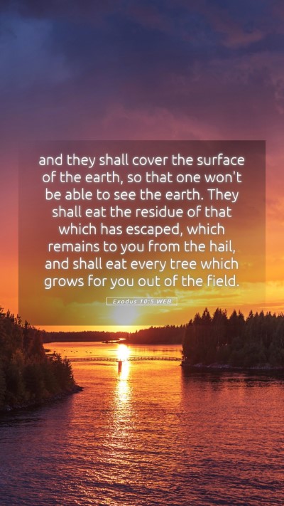 Picture 05 - Exodus 10:5 WEB Mobile Phone Wallpaper - and they shall cover the surface of the earth, so - Mobile Bible Verse Wallpaper