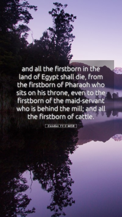 Picture 05 - Exodus 11:5 WEB Mobile Phone Wallpaper - and all the firstborn in the land of Egypt shall - Mobile Bible Verse Wallpaper