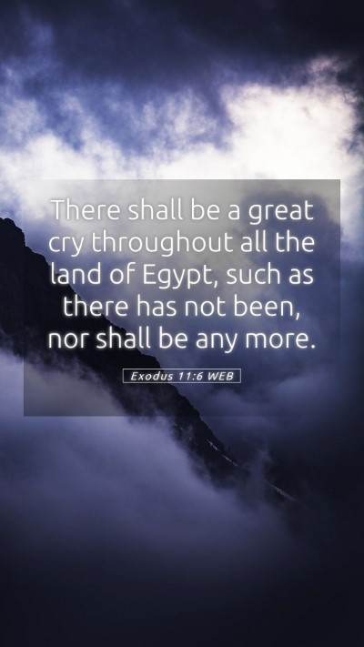 Picture 05 - Exodus 11:6 WEB Mobile Phone Wallpaper - There shall be a great cry throughout all the - Mobile Bible Verse Wallpaper