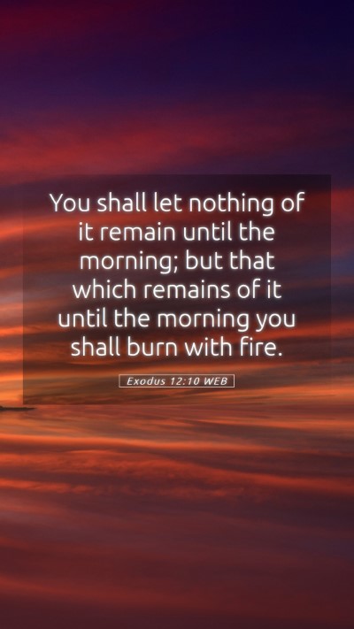 Picture 05 - Exodus 12:10 WEB Mobile Phone Wallpaper - You shall let nothing of it remain until the - Mobile Bible Verse Wallpaper