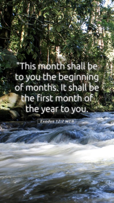 Picture 05 - Exodus 12:2 WEB Mobile Phone Wallpaper - 