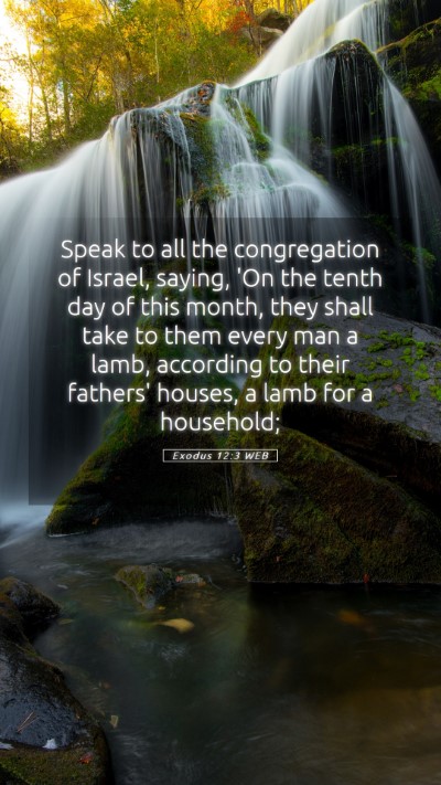 Picture 05 - Exodus 12:3 WEB Mobile Phone Wallpaper - Speak to all the congregation of Israel, saying, - Mobile Bible Verse Wallpaper