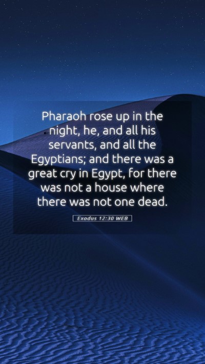 Picture 05 - Exodus 12:30 WEB Mobile Phone Wallpaper - Pharaoh rose up in the night, he, and all his - Mobile Bible Verse Wallpaper