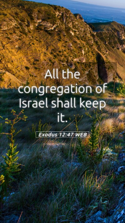 Picture 05 - Exodus 12:47 WEB Mobile Phone Wallpaper - All the congregation of Israel shall keep - Mobile Bible Verse Wallpaper