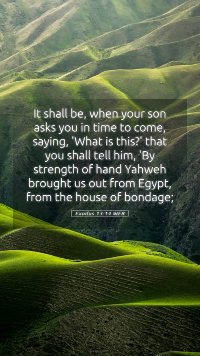 Picture 05 - Exodus 13:14 WEB Mobile Phone Wallpaper - It shall be, when your son asks you in time to - Mobile Bible Verse Wallpaper
